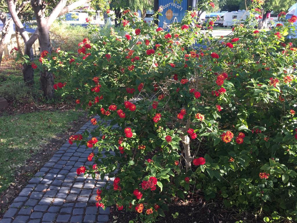 Observatory Guesthouse - Adults Only Busselton Buitenkant foto
